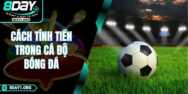 Cách Tính Tiền Trong Cá Độ Bóng Đá – Thắng Đâu Rõ Đó